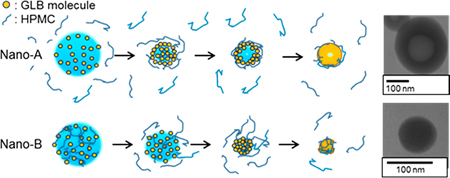 graphical abstract